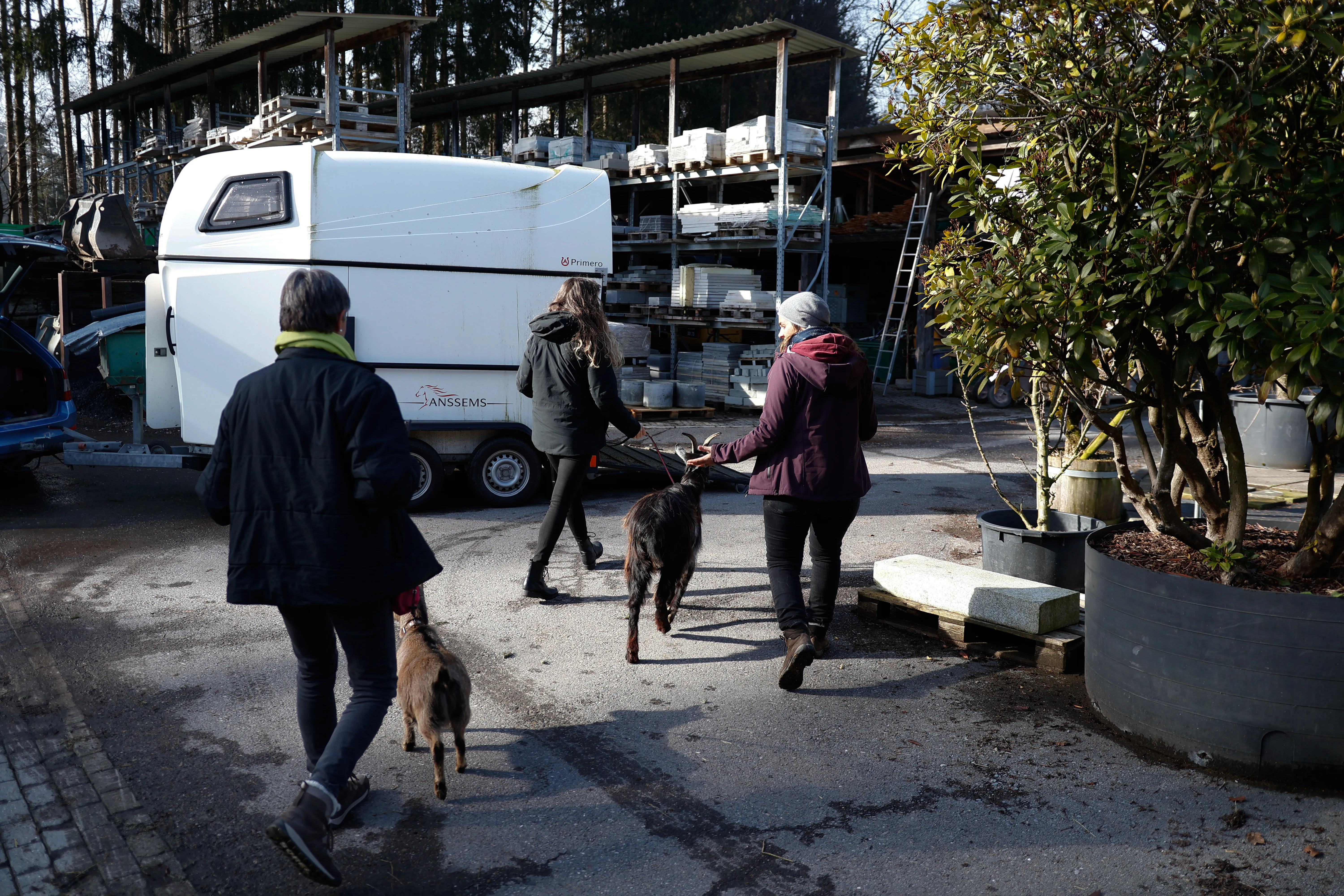 Tierbesuch in der Stiftung Eichholz image 1