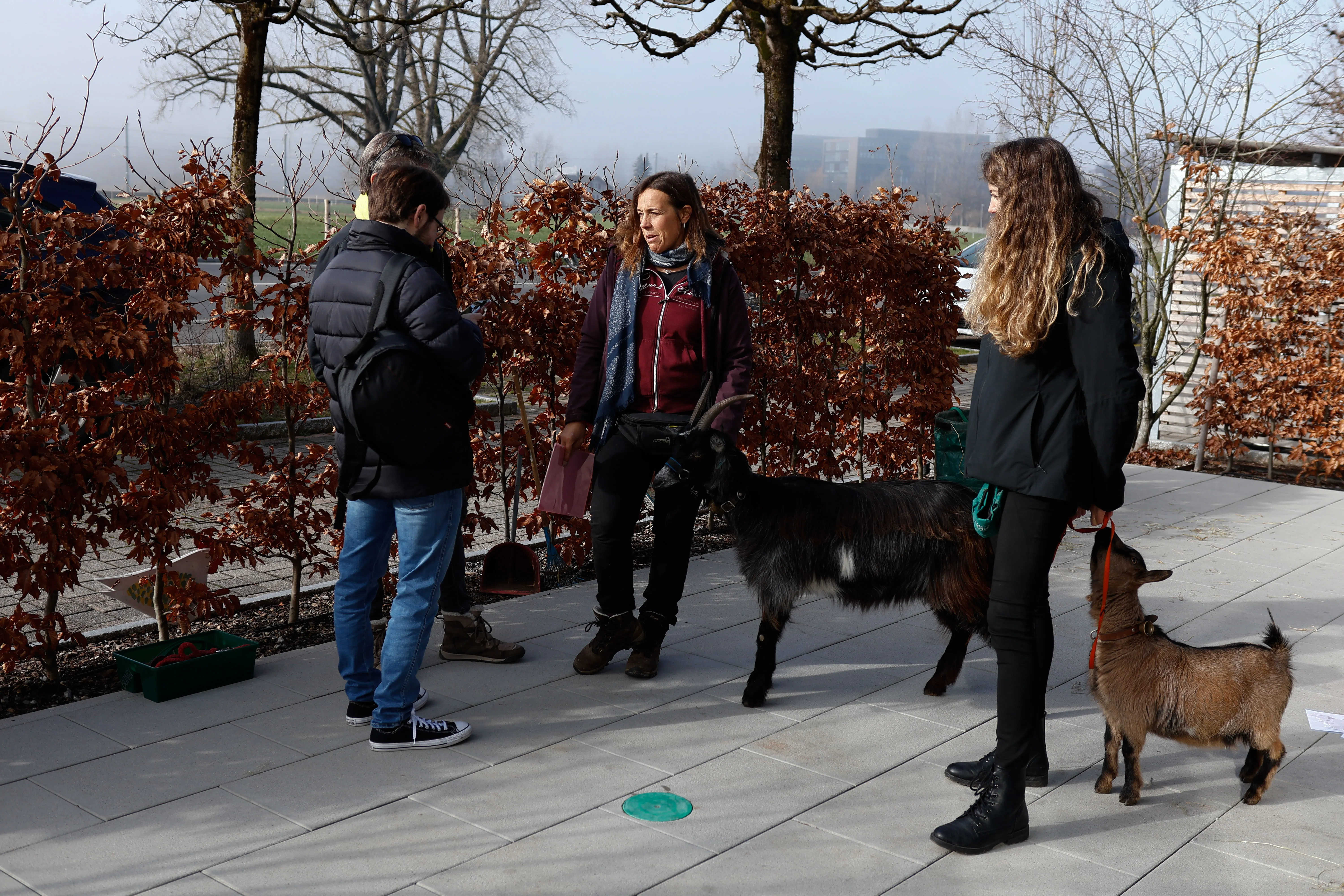 Tierbesuch in der Stiftung Eichholz image 5