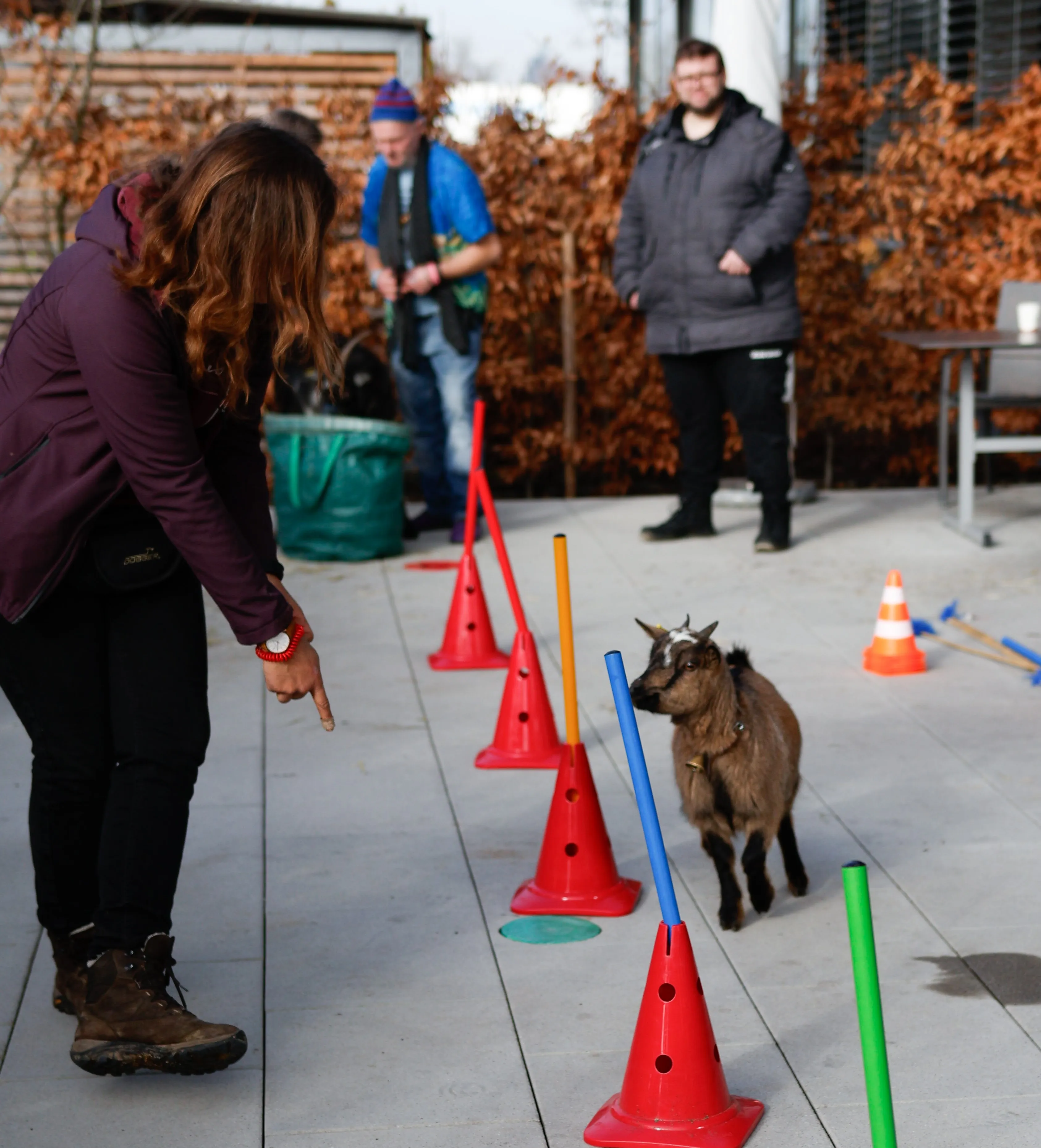 Tierbesuch in der Stiftung Eichholz image 10