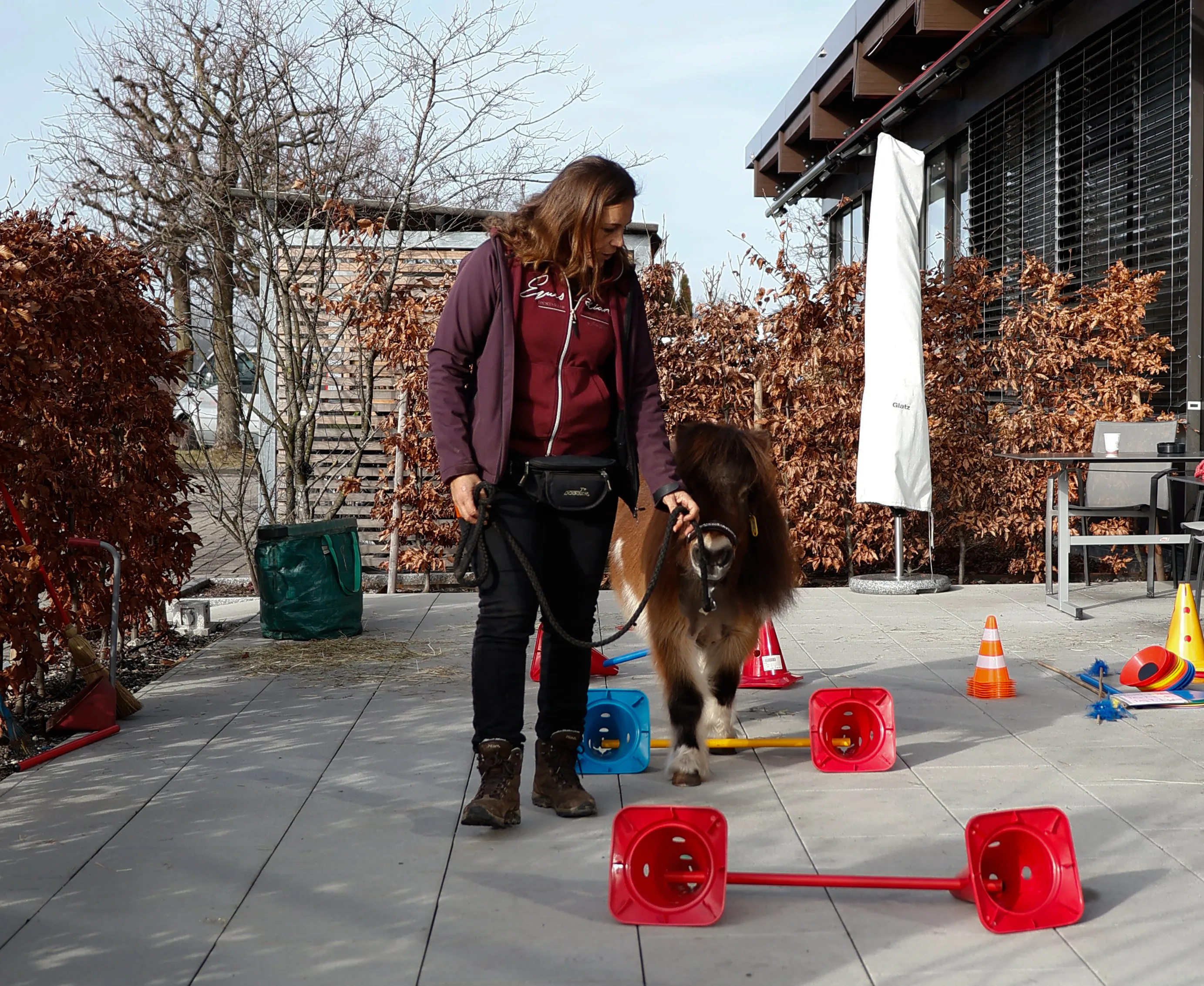 Tierbesuch in der Stiftung Eichholz image 20