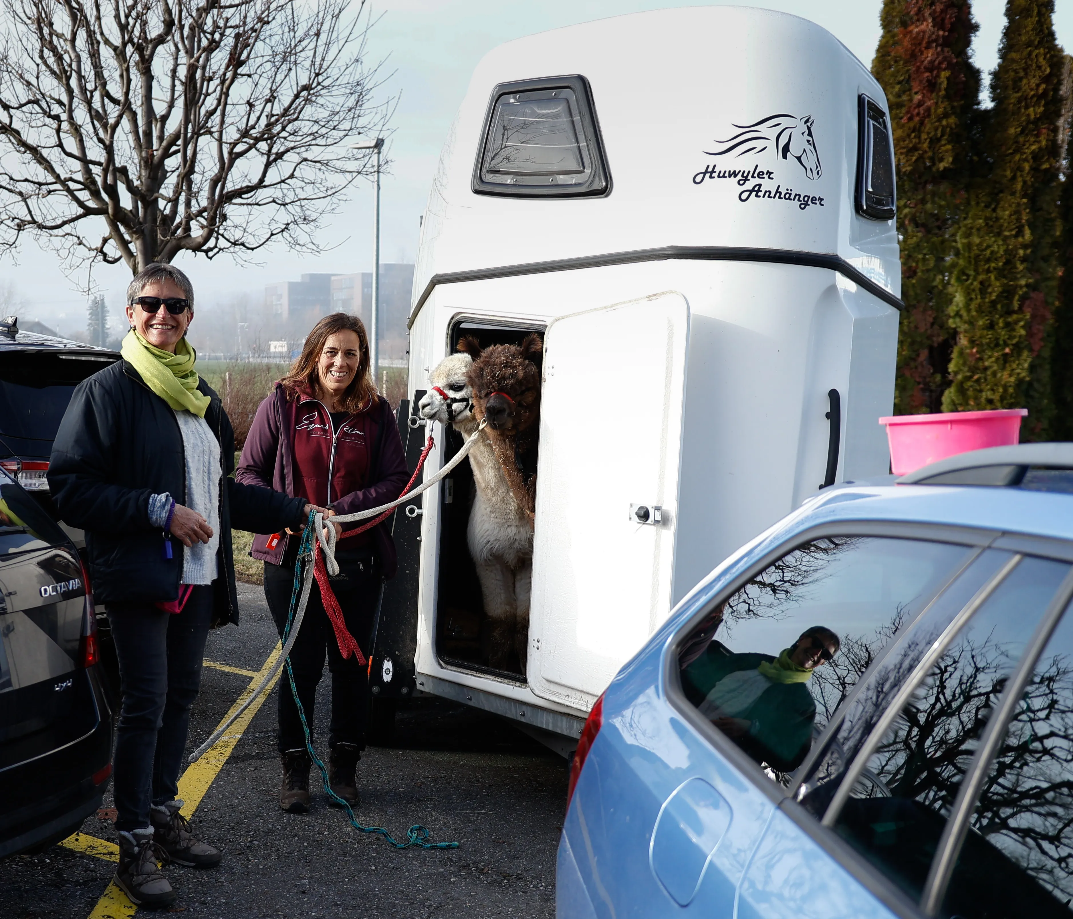Tierbesuch in der Stiftung Eichholz image 22