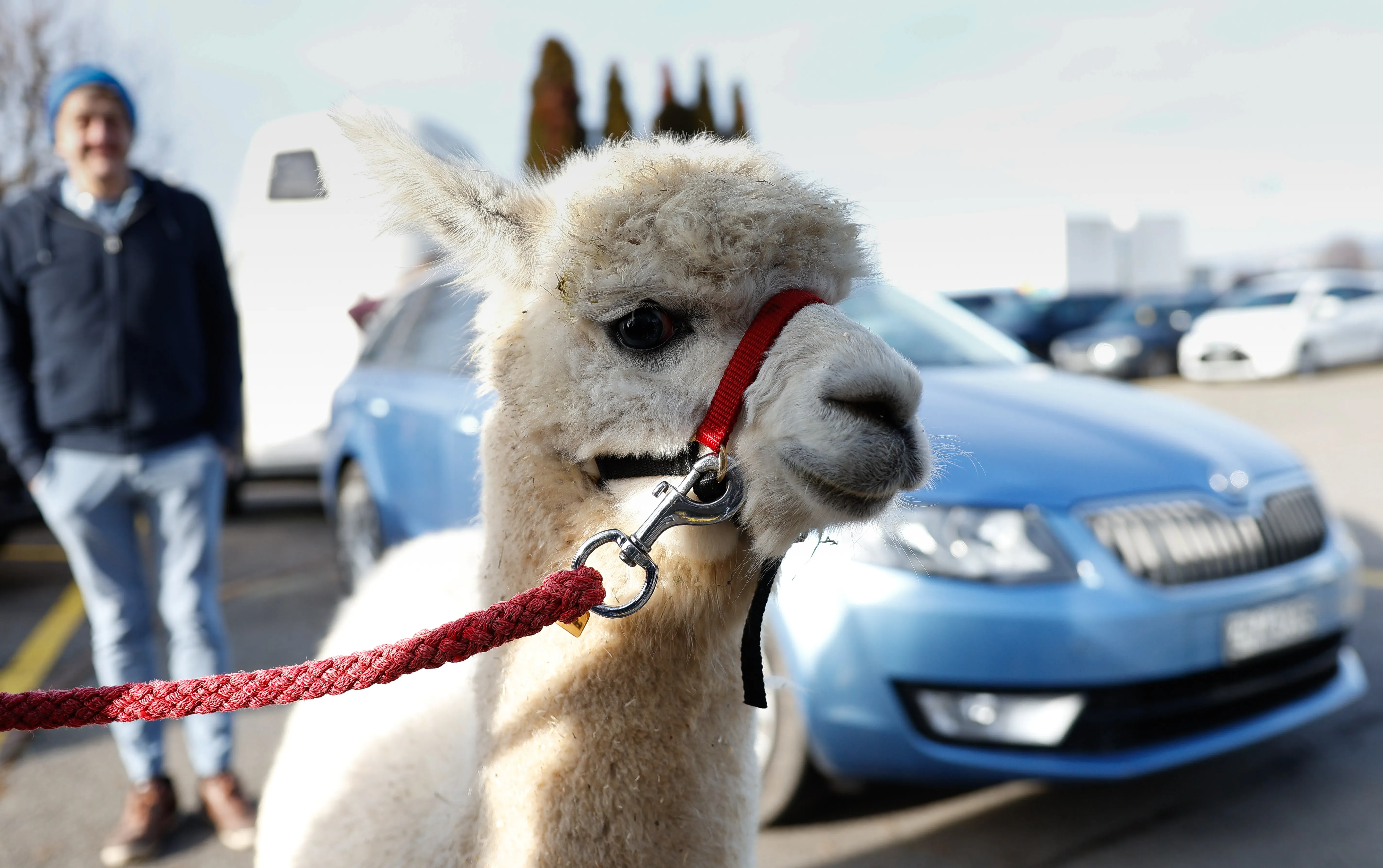 Tierbesuch in der Stiftung Eichholz image 23