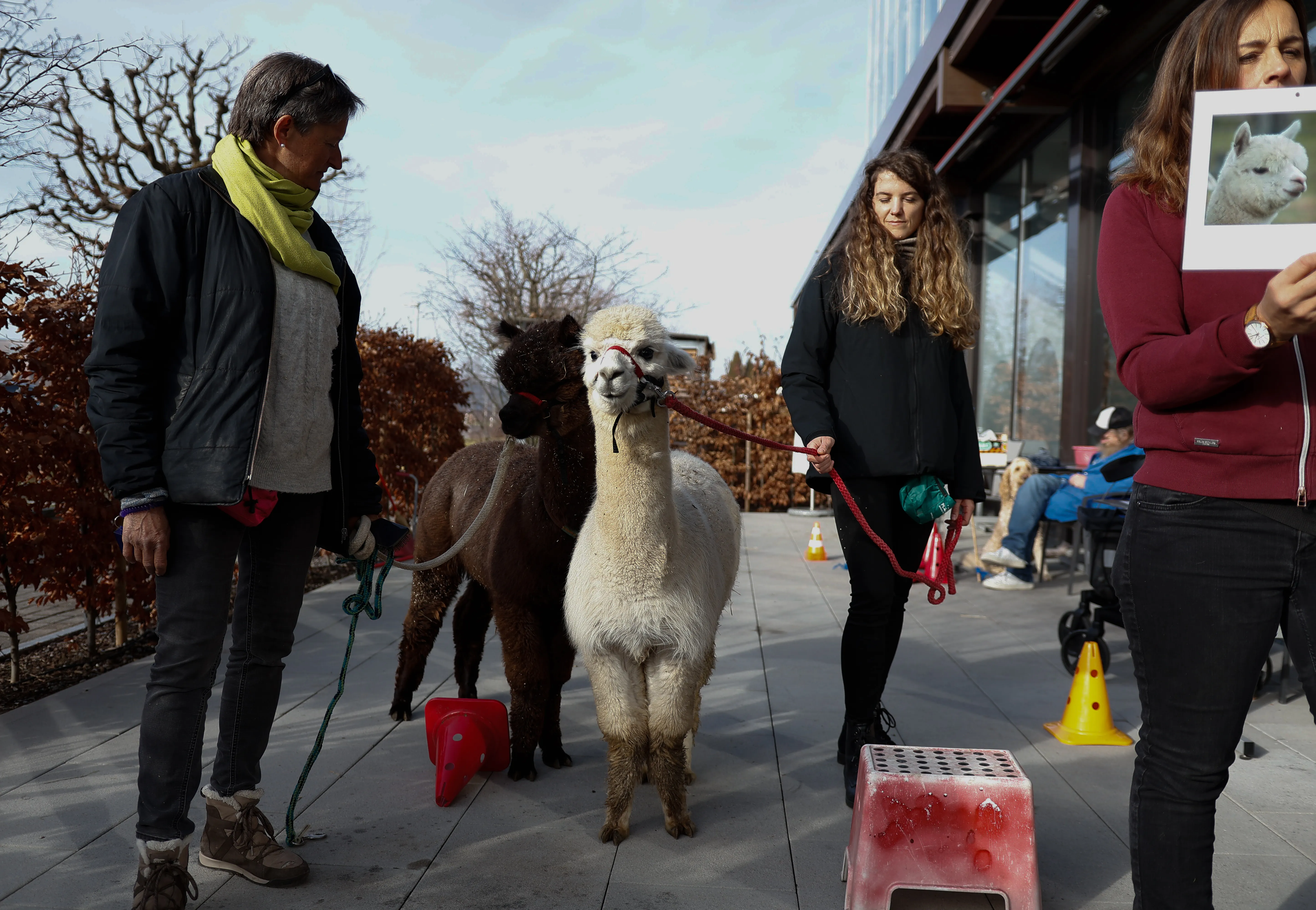 Tierbesuch in der Stiftung Eichholz image 25