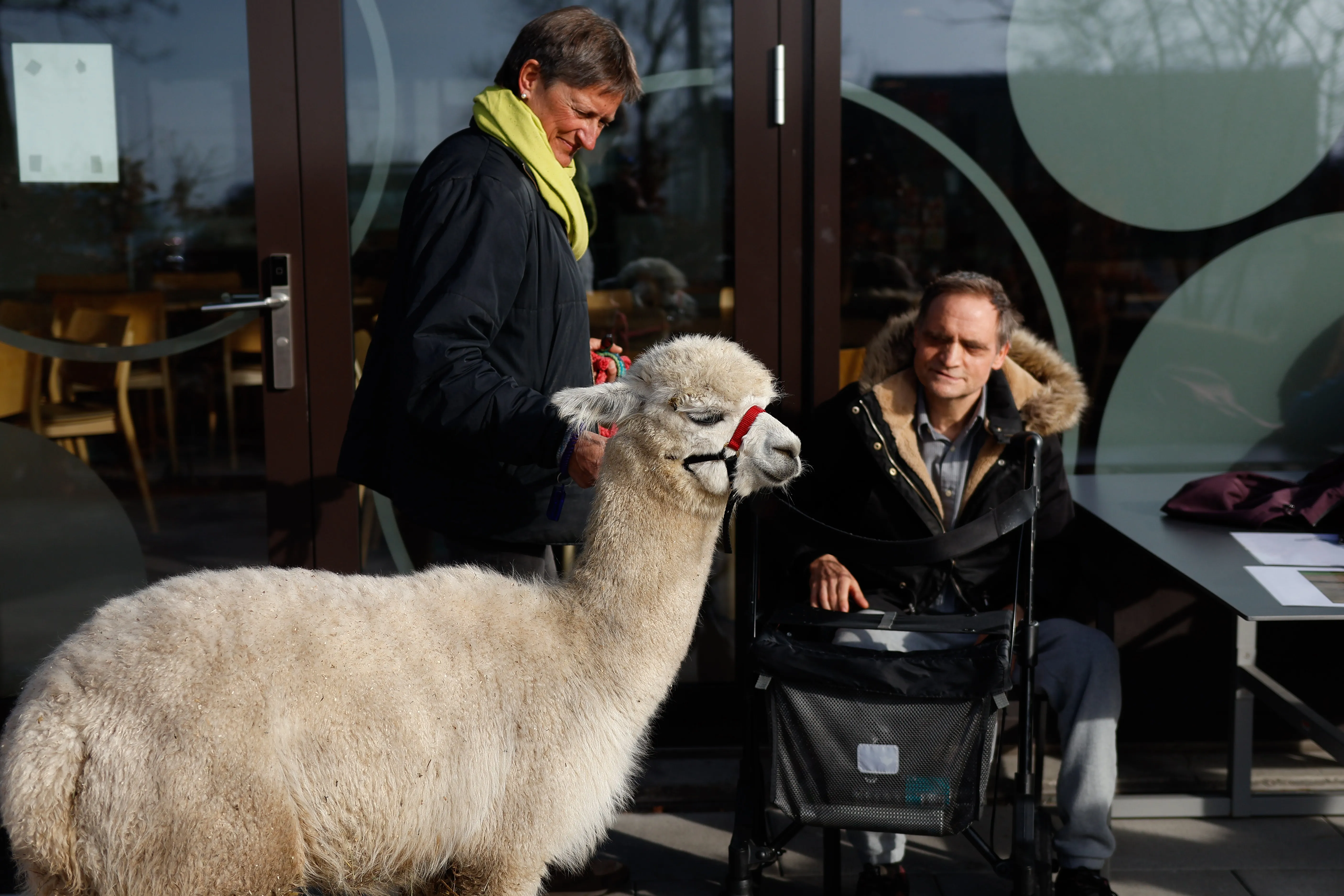 Tierbesuch in der Stiftung Eichholz image 26