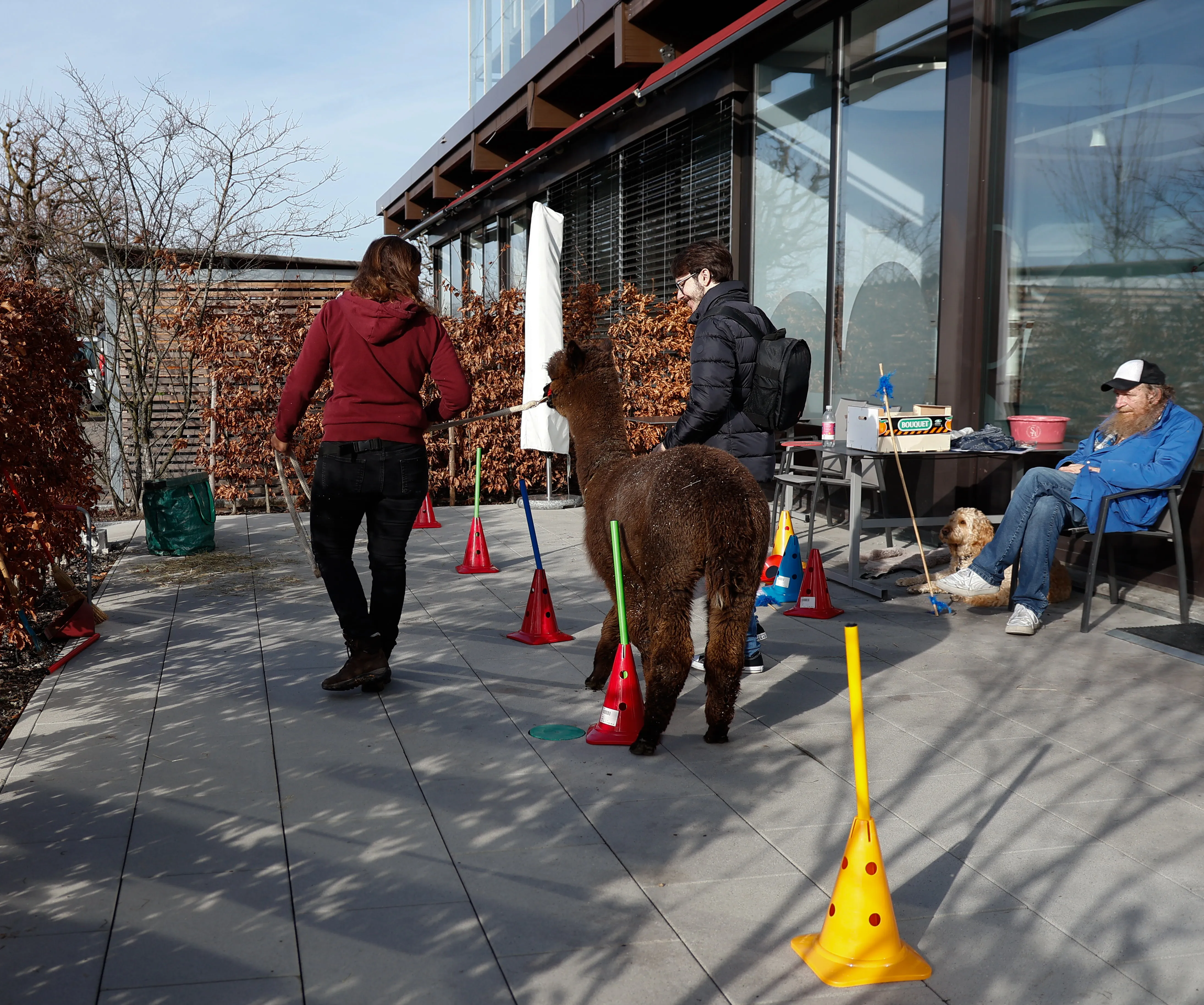 Tierbesuch in der Stiftung Eichholz image 30