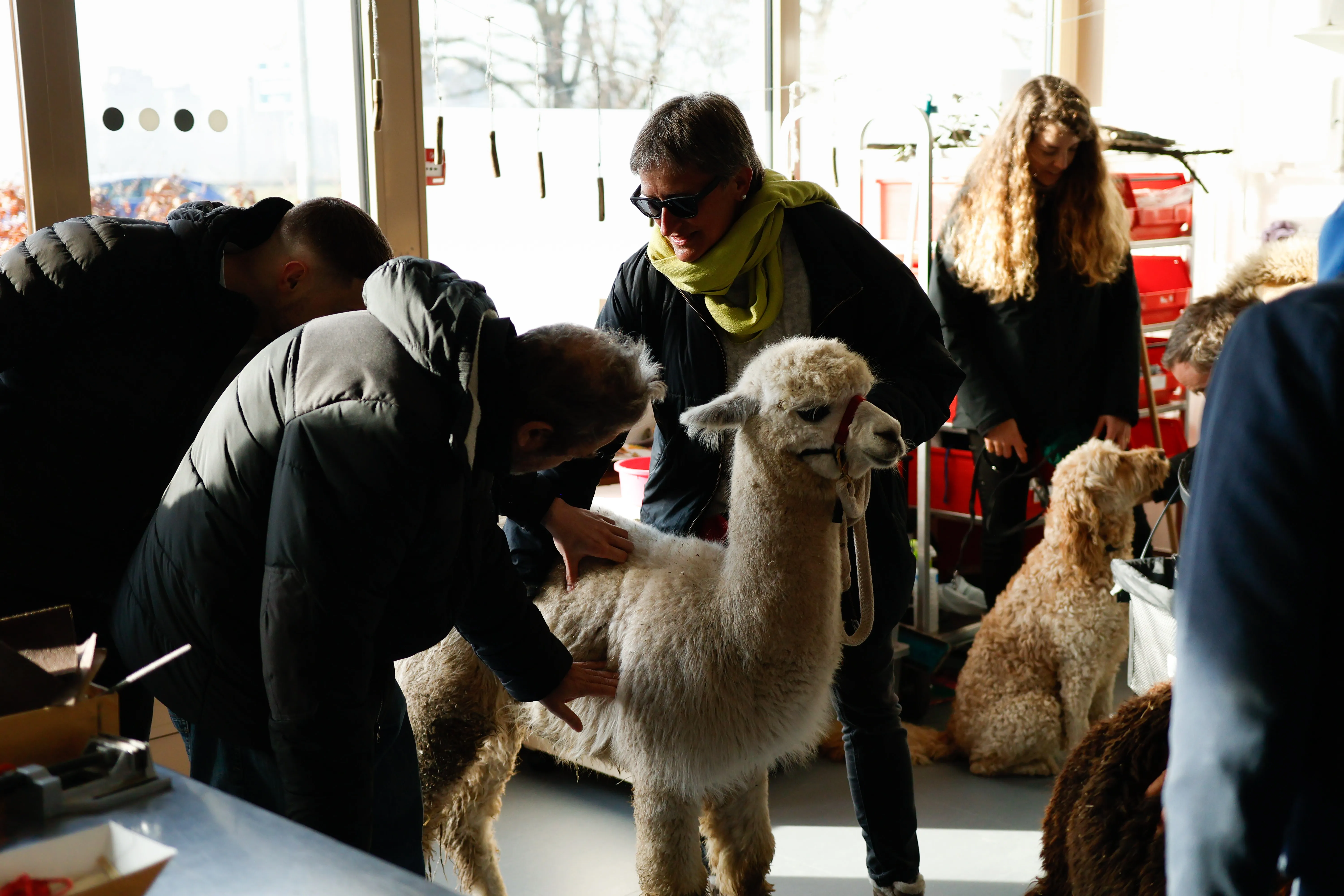 Tierbesuch in der Stiftung Eichholz image 34