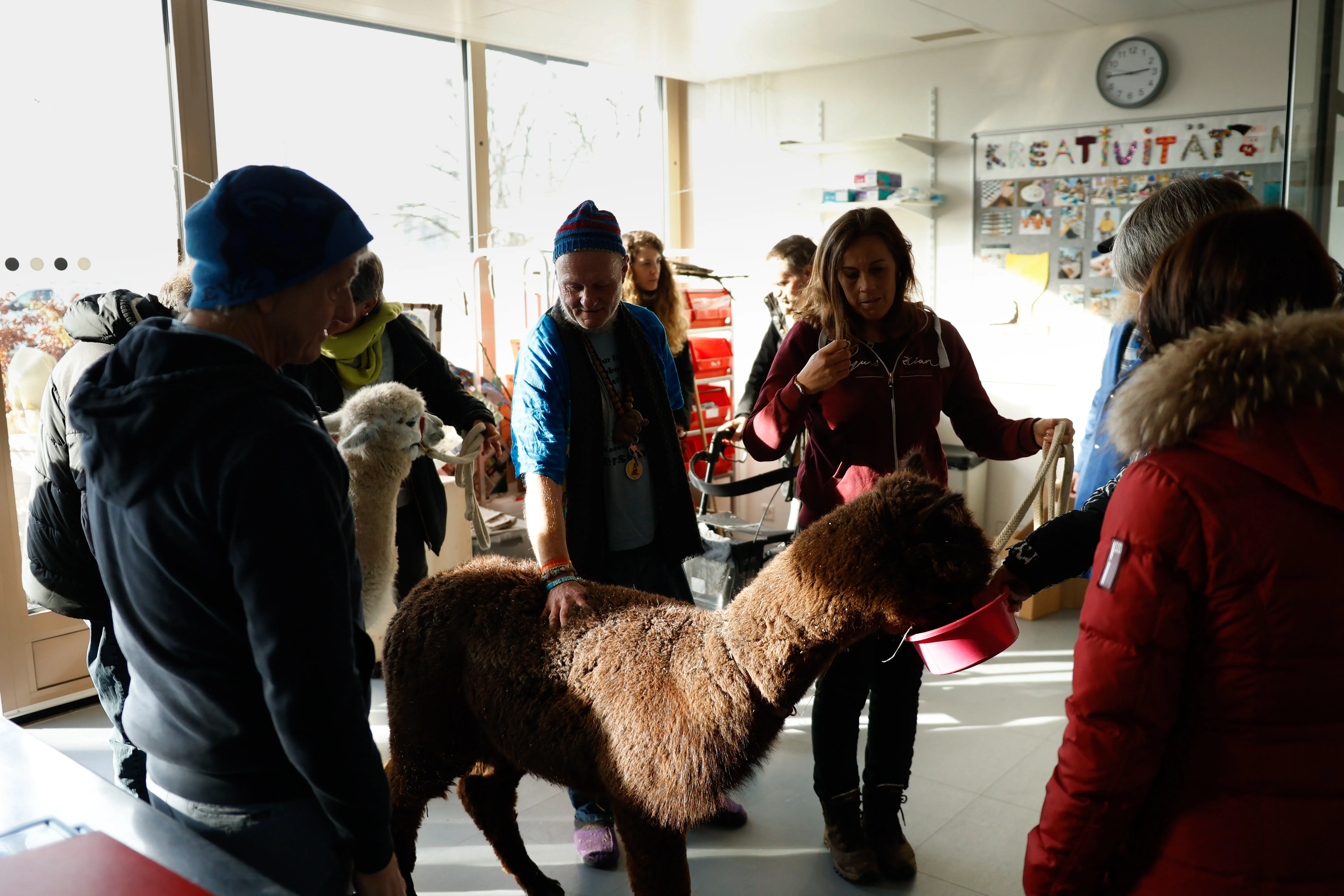 Tierbesuch in der Stiftung Eichholz image 35