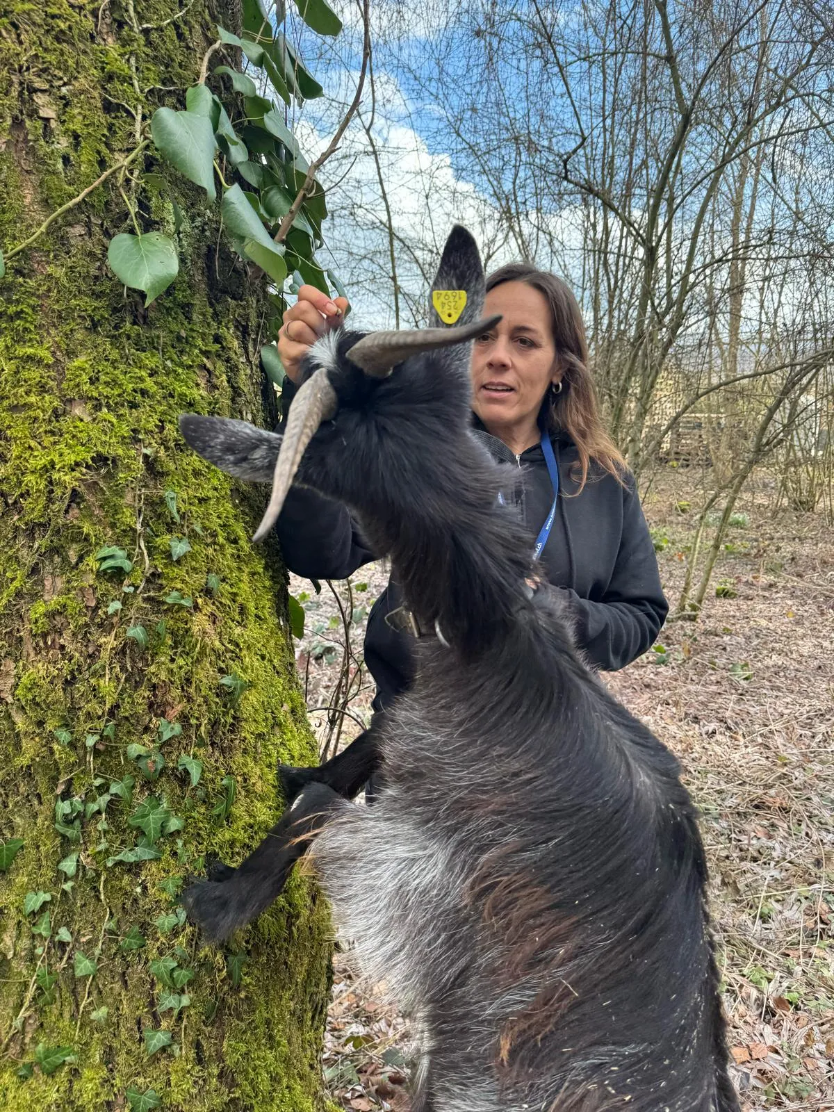 Ziegen Training für TiMe mit Sonja Kaiser und Kids image 1