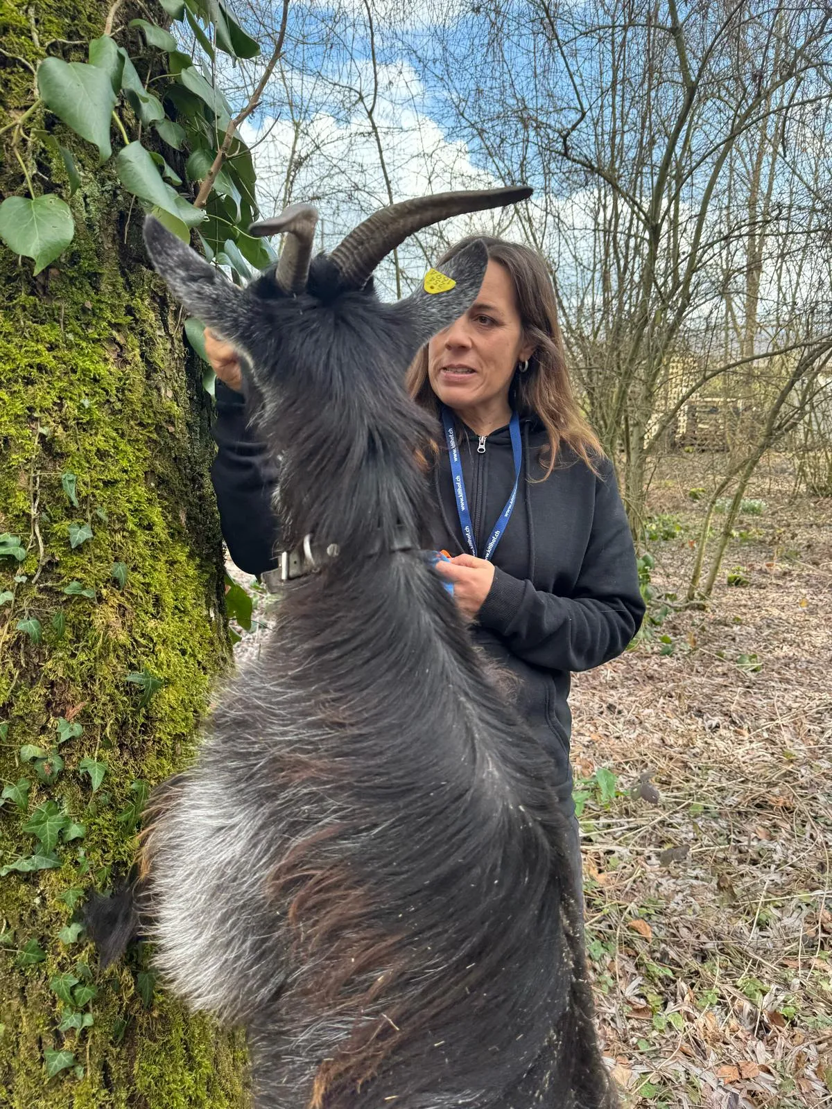 Ziegen Training für TiMe mit Sonja Kaiser und Kids image 2