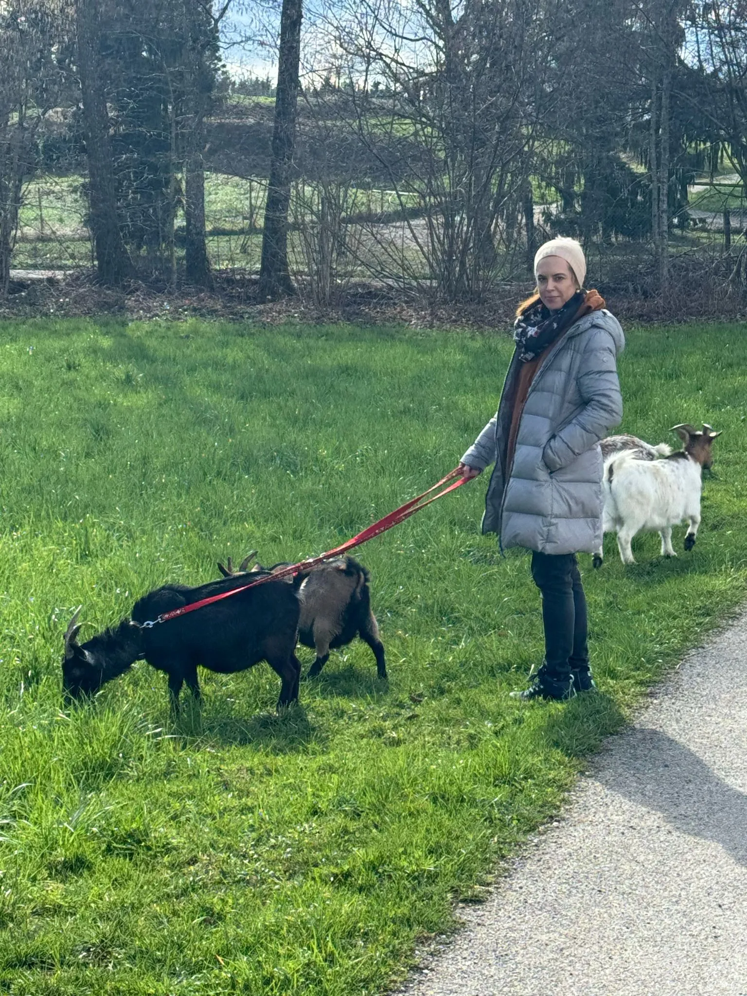 Ziegen Training für TiMe mit Sonja Kaiser und Kids image 12