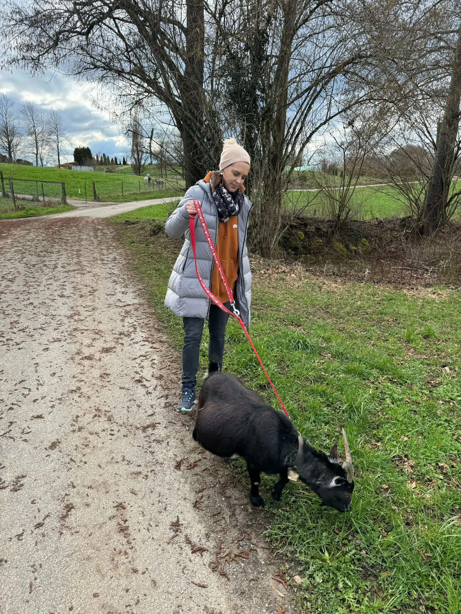 Ziegen Training für TiMe mit Sonja Kaiser und Kids image 14