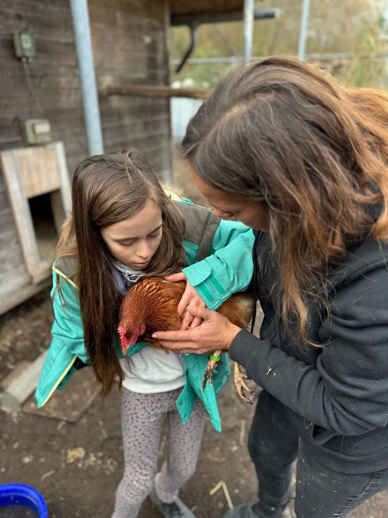Ziegen Training für TiMe mit Sonja Kaiser und Kids image 16