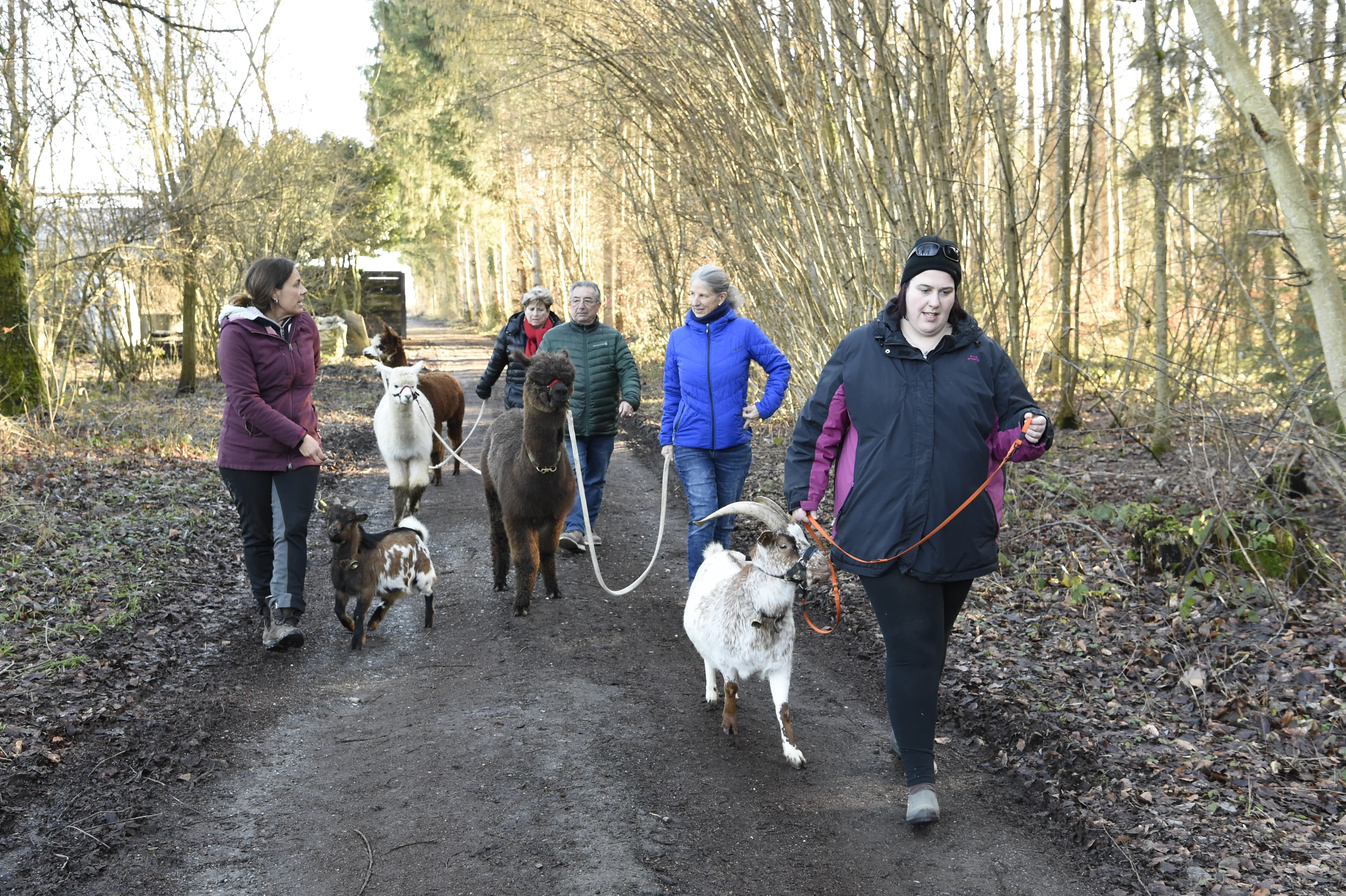 Tierspaziergang mit Freunden image 1