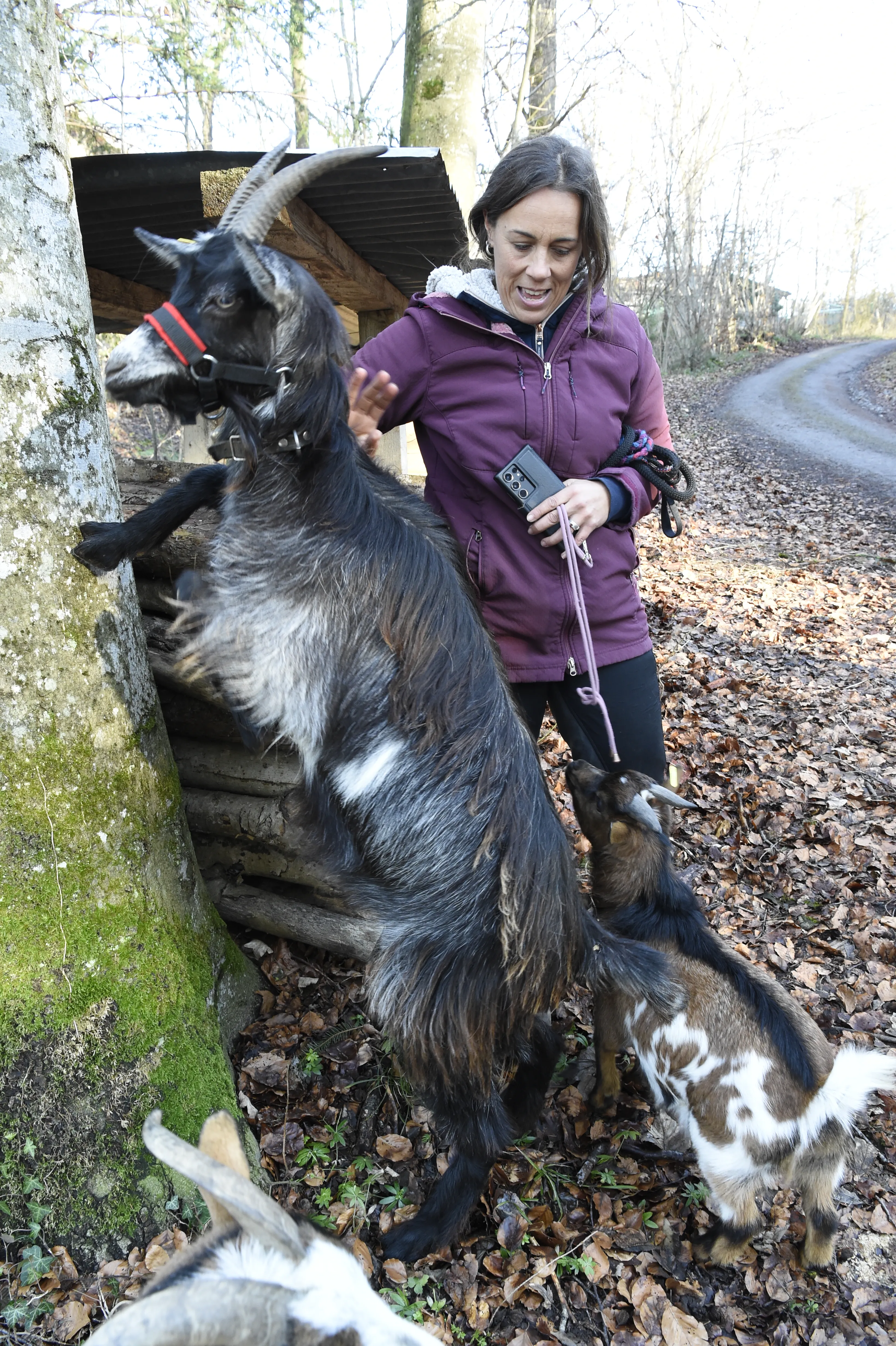 Tierspaziergang mit Freunden image 3