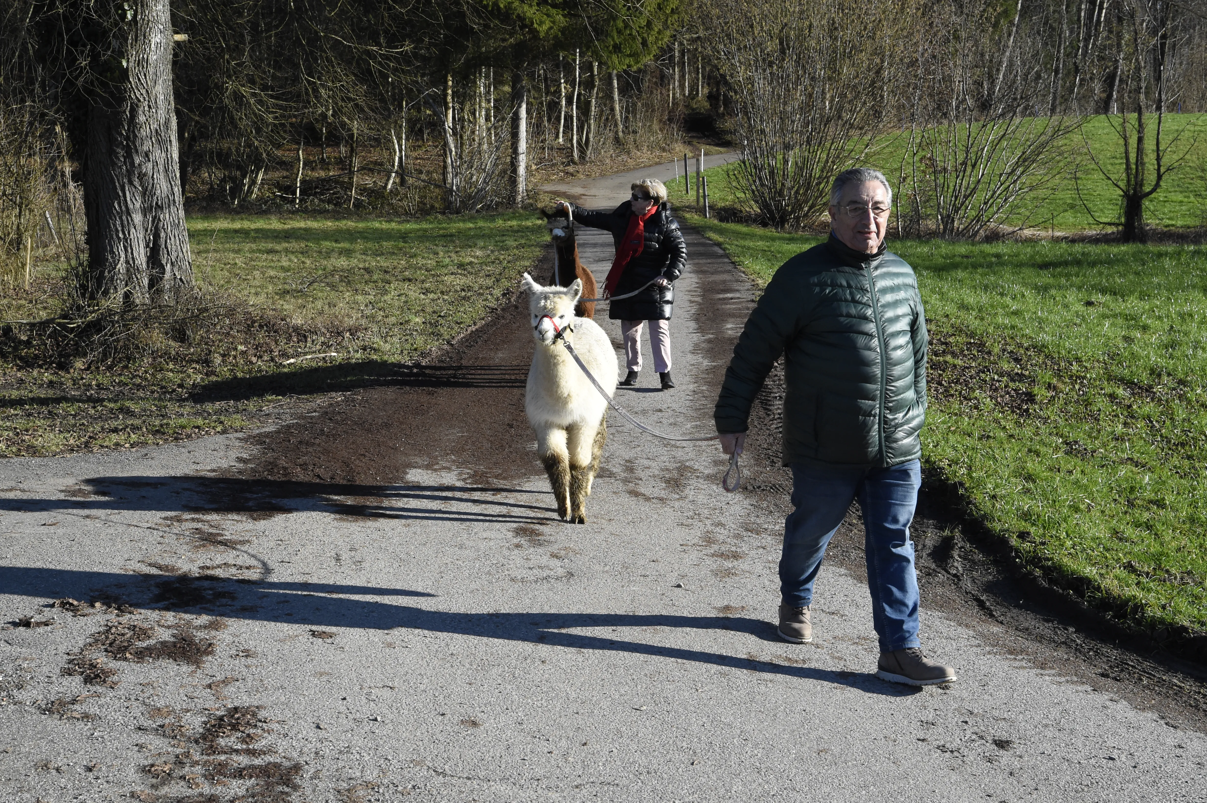 Tierspaziergang mit Freunden image 7