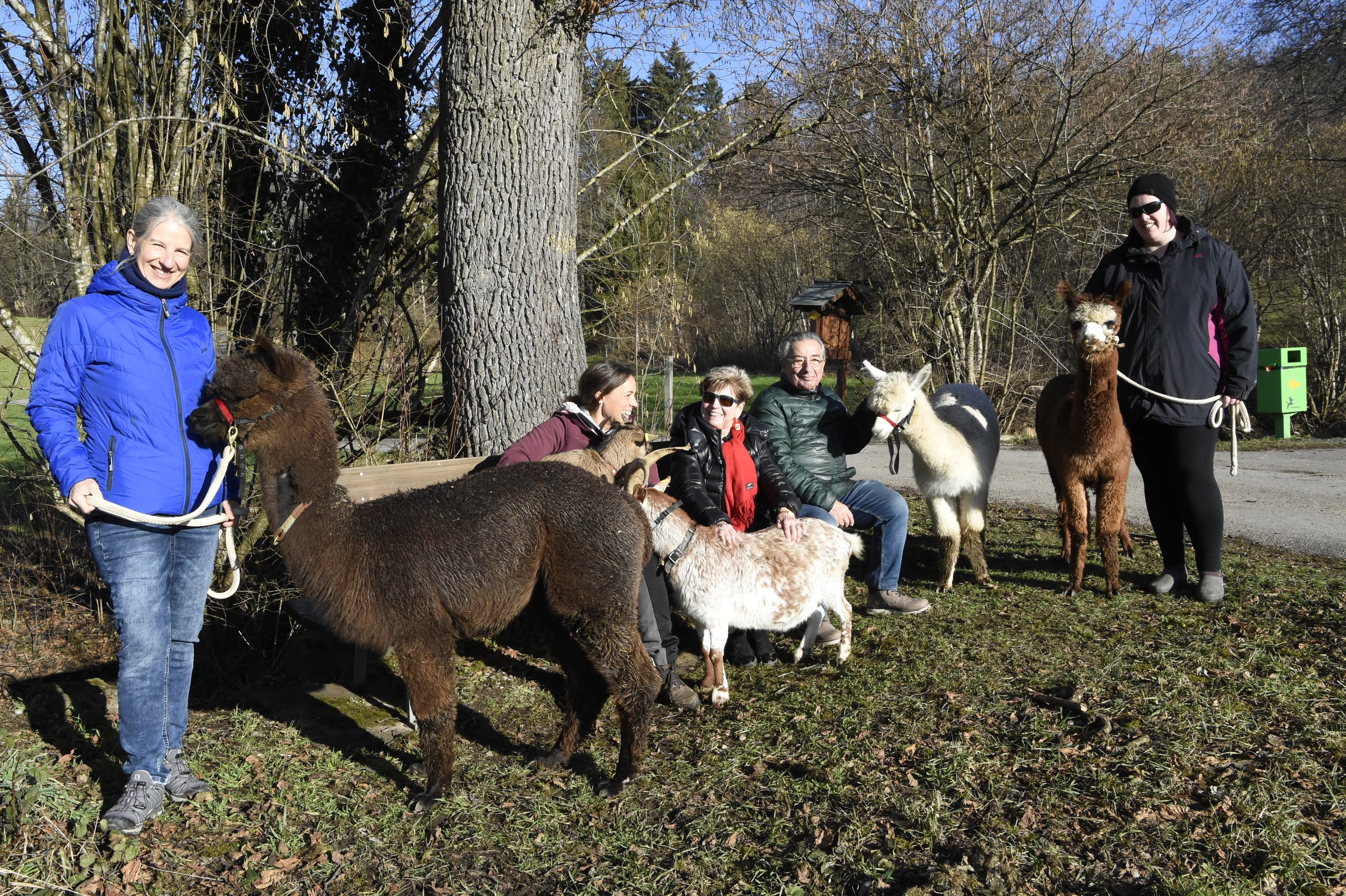 Tierspaziergang mit Freunden image 8