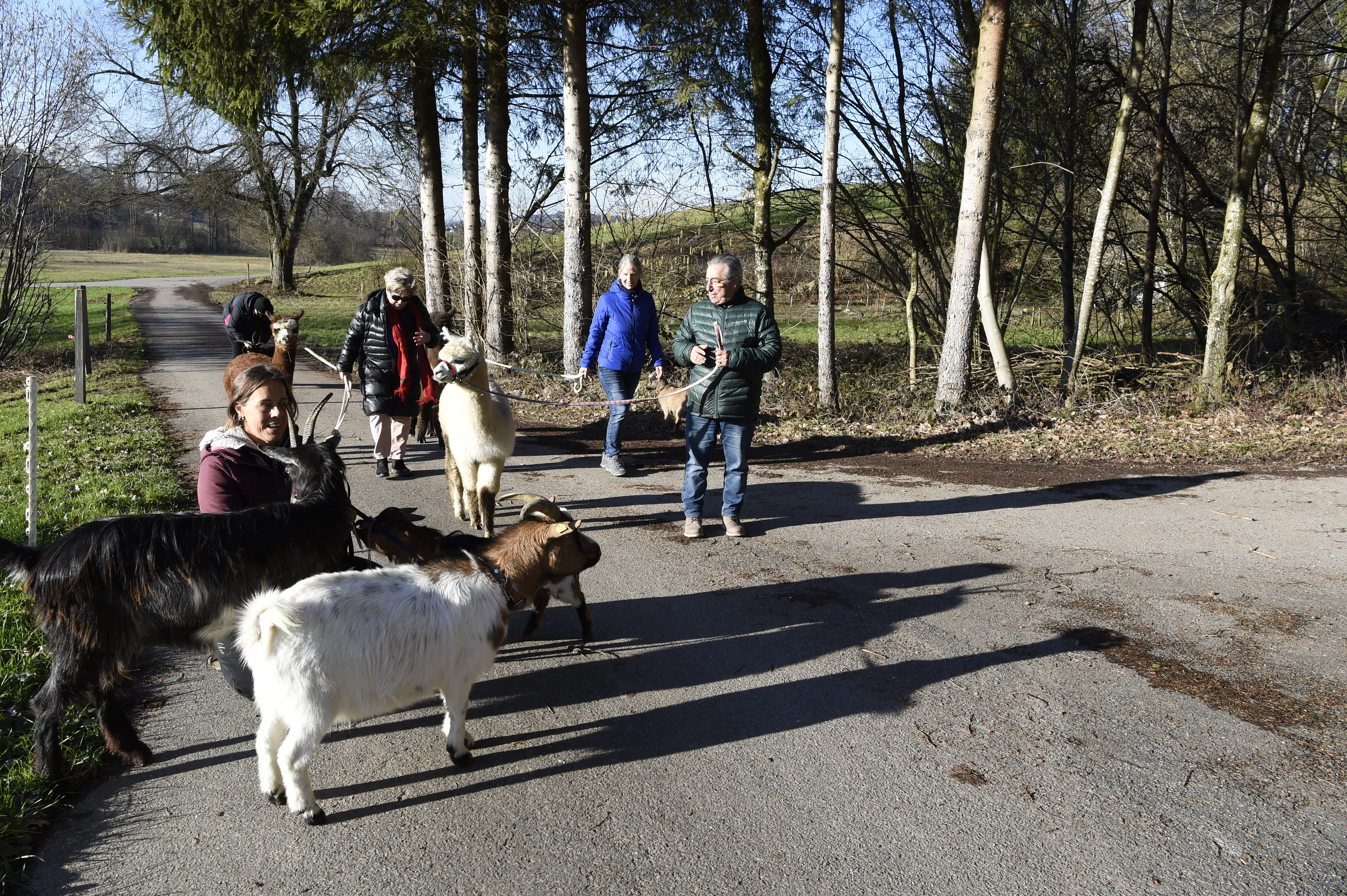 Tierspaziergang mit Freunden image 10